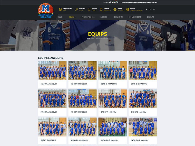Associació Esportiva Minguella